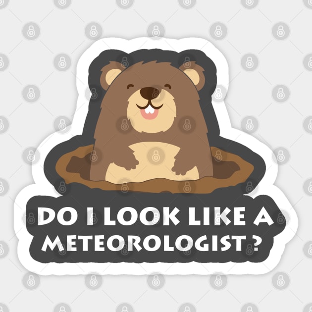 Do I Look Like A Meteorologist? Groundhog Day Funny Sticker by amitsurti